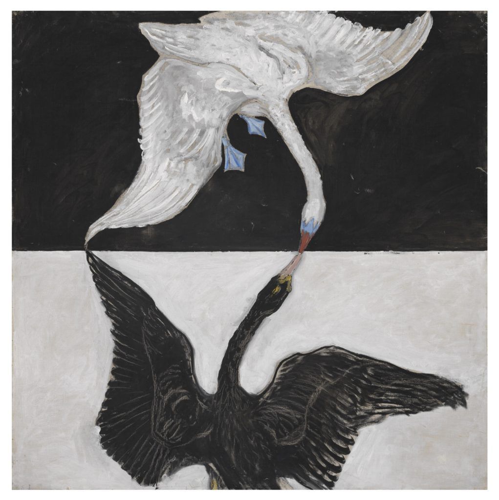 A white swan against a black background kisses a black swan against a white background. 